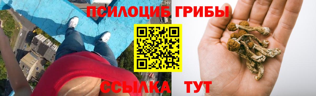 Псилоцибиновые грибы мицелий Ржев