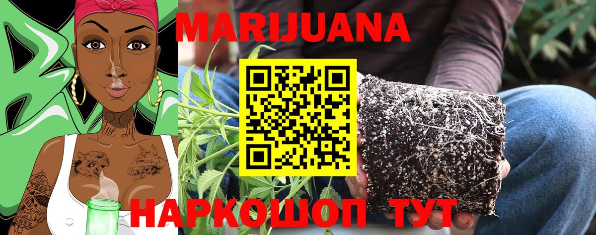 Ржев  Канабис сатива  Бошки Шишки Amnesia  Вход с VPN  Конопля LSD WEED 